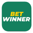 BetWinner Review