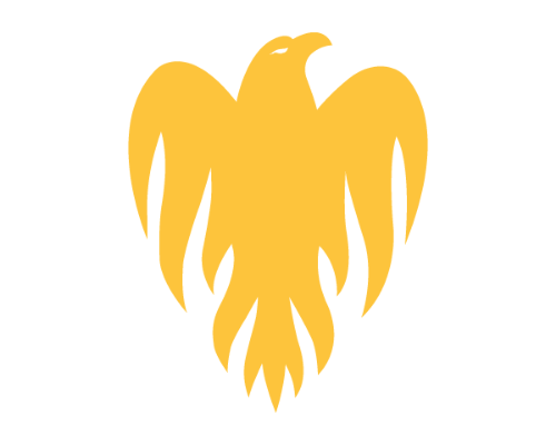 Wellington Firebirds