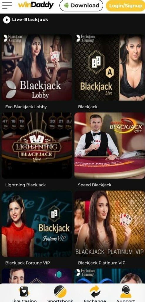 Blackjack at Windaddy