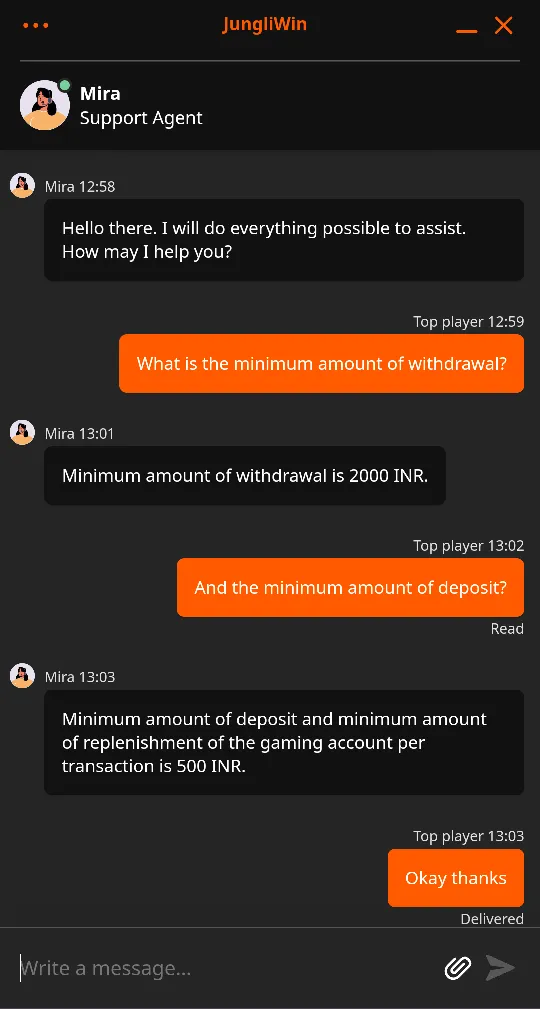 Customer Support at Jungliwin