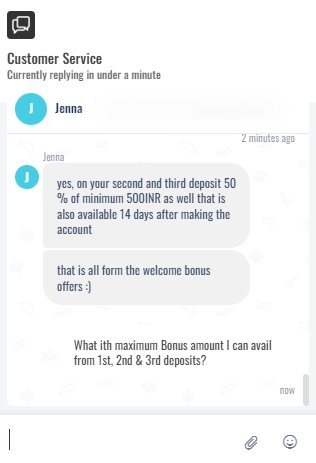 Screenshot of Live chat support at Bigbaazi casino