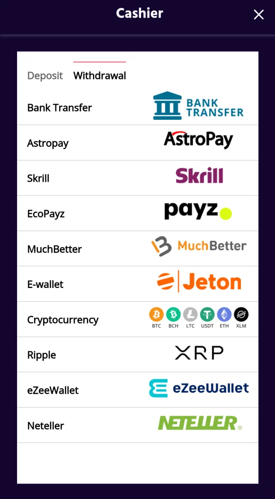 Screenshot of Deposit Methods at Bigbaazi Casino